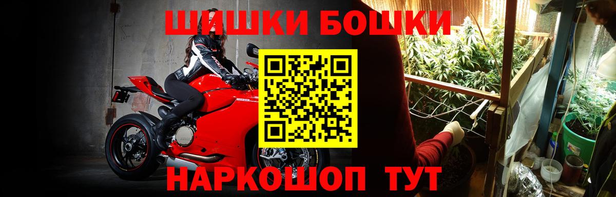 Конопля планчик Элиста