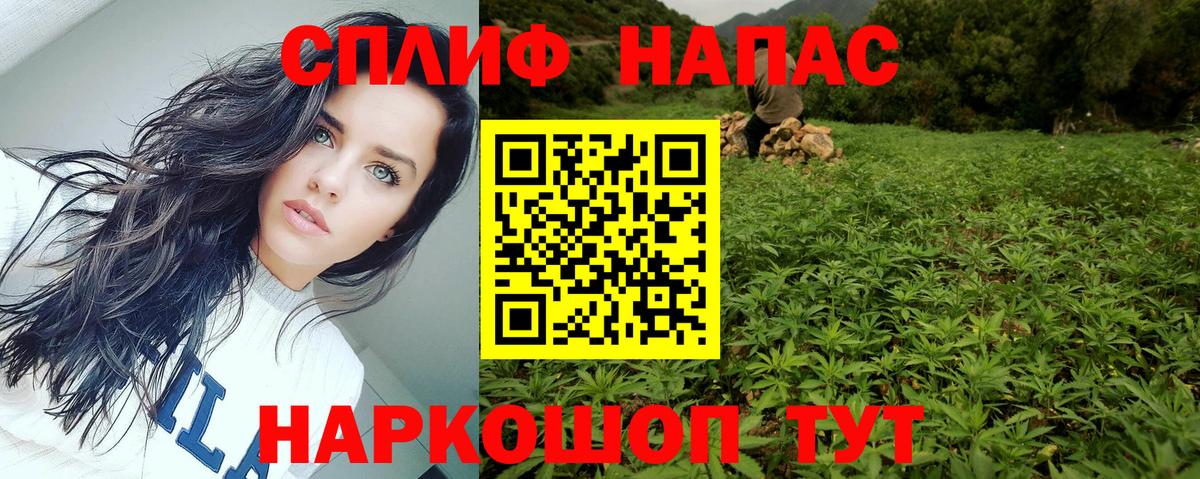 Элиста  Бошки марихуана план  Бошки Шишки AK-47  Канабис Bruce Banner  Шишки марихуана OG Kush  Вход с VPN 